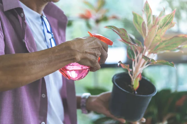 Senior Gepensioneerde Man Sproeit Water Plantenpot — Stockfoto