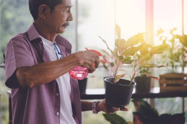 Emekli kıdemli Asyalı adam sabah vakti saksıya su püskürtüyor.