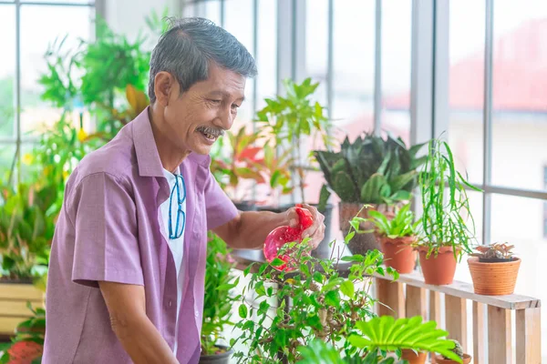 Happy Senior Asian retired man is spraying water on plant pot in a glasshouse