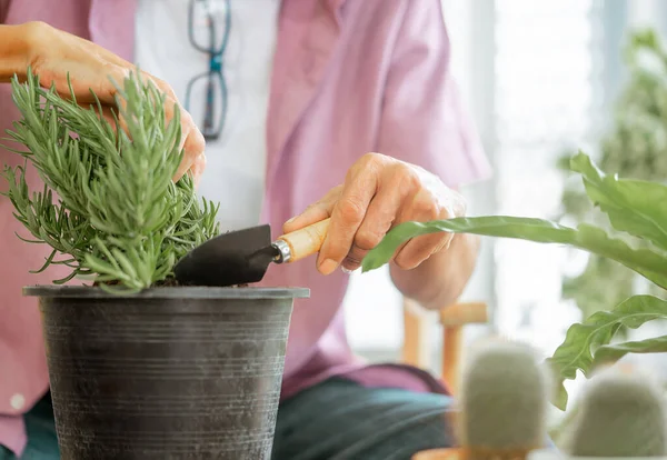 Senior Gepensioneerde Man Plant Zijn Huis Voor Een Gelukkige Pensionering — Stockfoto