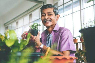 Asyalı emekliler evde hobi olarak ağaç ve saksı dikiyorlar..