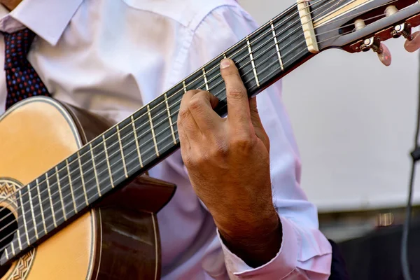 巴西流行音乐的现场音乐表演与七弦声波吉他 — 图库照片