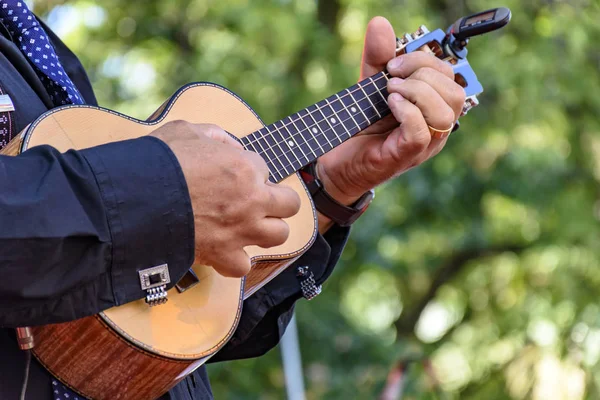 Canlı müzik performans dört teli ile akustik gitar ile chorinho olarak adlandırılan Brezilya popüler müzik
