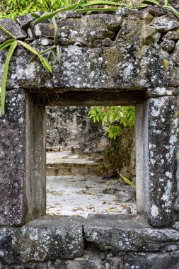 Eski köle olarak Minas Gerais, Brezilya 18. yüzyılda inşa edilen taş çiftlik kalıntıları.