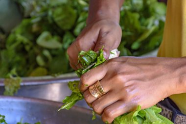 Kesme ve yenmek için taze ve taze hasat sebze hazırlama eller