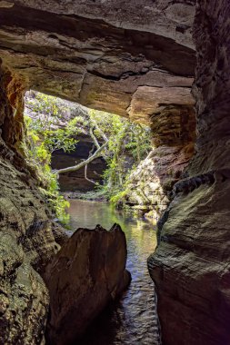 Nehir kaya, moss, mağara ve Carrancas, Minas Gerais, Brezilya yağmur ormanları, bitki örtüsü arasında