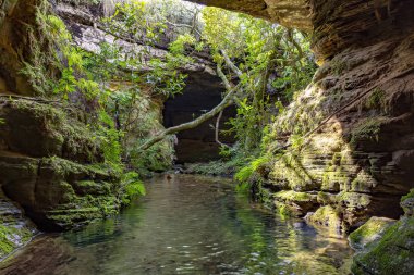 Nehir kaya, moss, mağara ve Carrancas, Minas Gerais, Brezilya yağmur ormanları, bitki örtüsü arasında