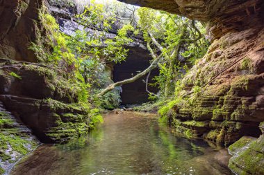 Nehir kaya, moss, mağara ve Carrancas, Minas Gerais, Brezilya yağmur ormanları, bitki örtüsü arasında