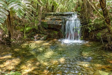 Küçük bir göl ve nehir Carrancas, Minas Gerais, Brezilya yağmur ormanları bitki örtüsü arasında şeffaf su ile