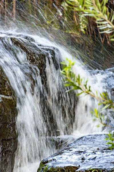 Kleine Waterval Met Water Lopen Rotsen Tussen Tropisch Bos Carrancas — Stockfoto