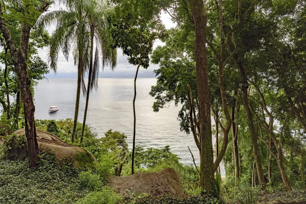 Üzerinde yeşil sahil Rio de Janeiro şehrine yağmur ormanı bitki örtüsü ile görünümüne bay Angra dos Reis