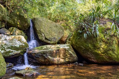Sao Paulo eyaletinin kuzey kıyısında yosunlu taşlar ile Ilhabela adasının yağmur ormanları bitki örtüsü arasında küçük şelale, Brezilya