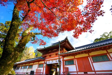 Nara, Japonya - 21 Kasım 2017: Tamukeyama Hachimangu Tapınak, Nara, Japonya.