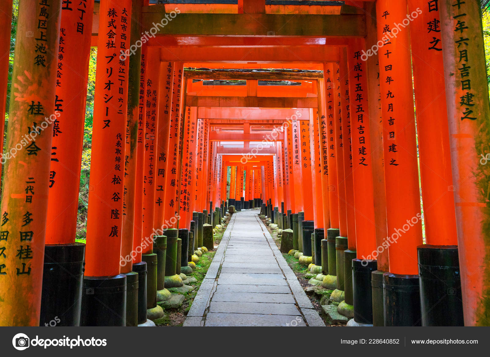 Senbon Torii Fushimi Inari Shrine Fushimi Inari Taisha Fushimi Inari Stock Editorial Photo C Nottomanv1 Senbon Torii Fushimi Inari Shrine Fushimi Inari Taisha Fushimi Inari Stock Editorial Photo C Nottomanv1