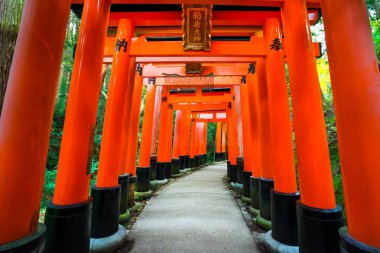 Fushimi Inari Shrine(Fushimi Inari Taisha), Senbon yakın. Fushimi Inari tapınak tapınak Inari.This Kyoto, Japonya Fushimi koğuşta bulunan Tanrı'nın olduğunu.