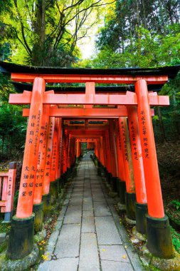 Fushimi Inari Shrine(Fushimi Inari Taisha), Senbon yakın. Fushimi Inari tapınak tapınak Inari.This Kyoto, Japonya Fushimi koğuşta bulunan Tanrı'nın olduğunu.