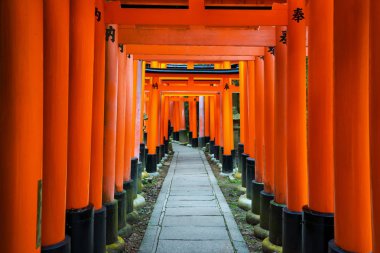 Fushimi Inari Shrine(Fushimi Inari Taisha), Senbon yakın. Fushimi Inari tapınak tapınak Inari.This Kyoto, Japonya Fushimi koğuşta bulunan Tanrı'nın olduğunu.
