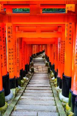 Fushimi Inari Shrine(Fushimi Inari Taisha), Senbon yakın. Fushimi Inari tapınak tapınak Inari.This Kyoto, Japonya Fushimi koğuşta bulunan Tanrı'nın olduğunu.