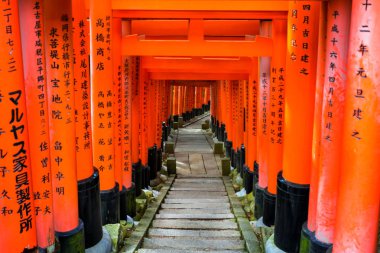 Fushimi Inari Shrine(Fushimi Inari Taisha), Senbon yakın. Fushimi Inari tapınak tapınak Inari.This Kyoto, Japonya Fushimi koğuşta bulunan Tanrı'nın olduğunu.