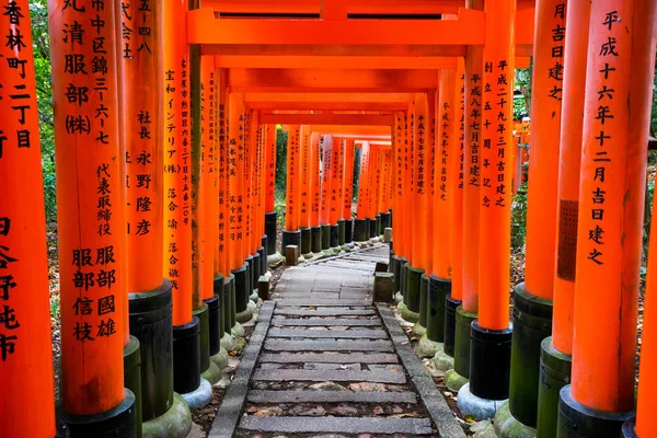 Fushimi Inari Shrine Fushimi Inari Taisha Senbon Yakın Fushimi Inari — Stok fotoğraf