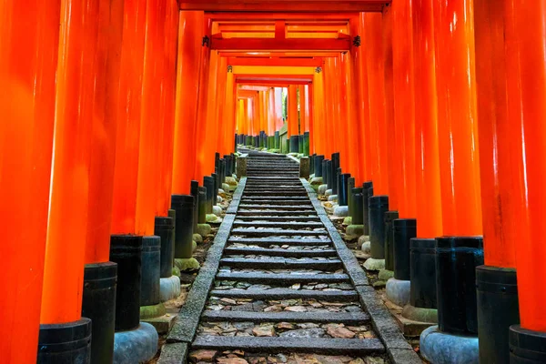 Τορίι Senbon Ναός Φουσίμι Ινάρι Shrine Fushimi Inari Taisha Ναός Εικόνα Αρχείου