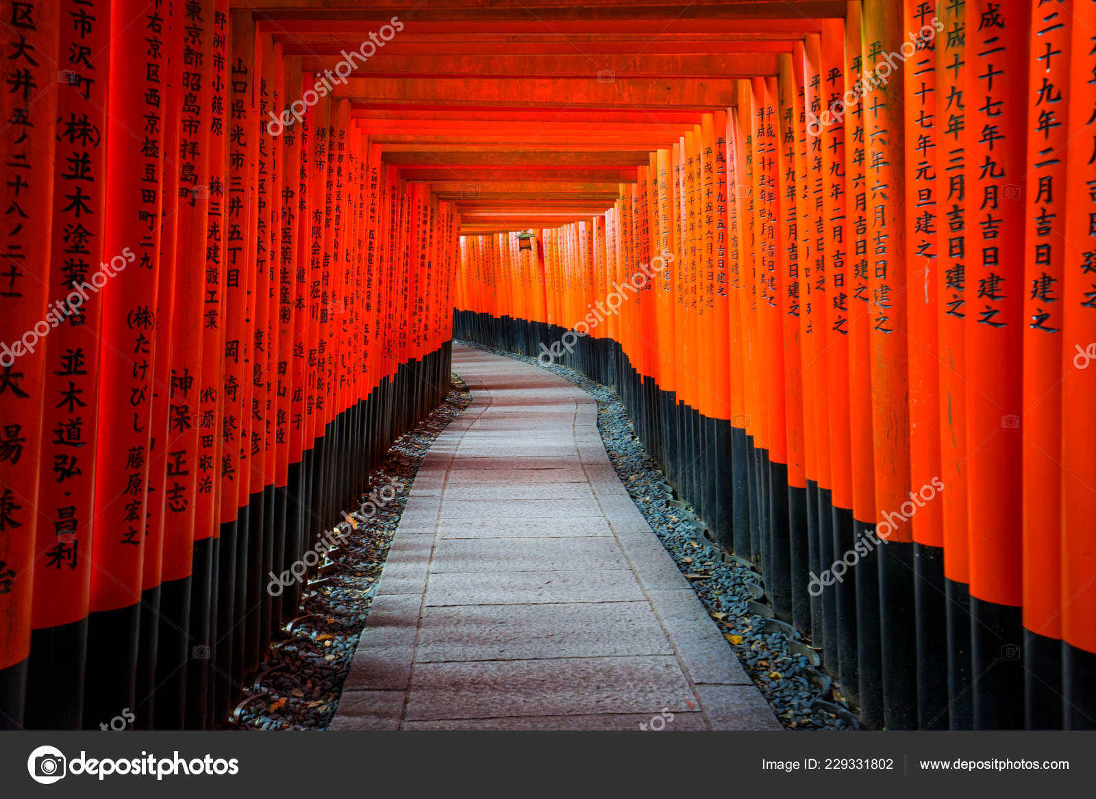 Senbon Torii Fushimi Inari Shrine Fushimi Inari Taisha Fushimi Inari Stock Editorial Photo C Nottomanv1