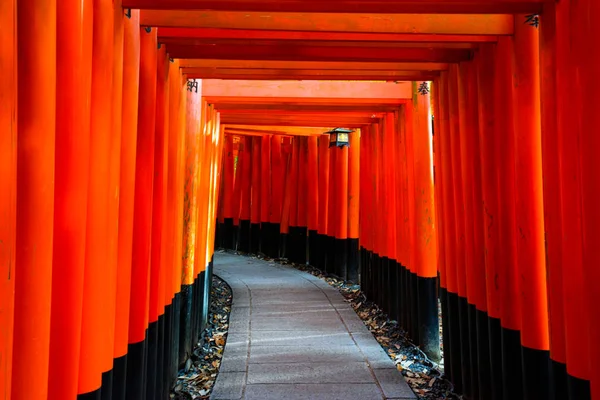 Senbon Torii Sanctuaire Fushimi Inari Fushimi Inari Taisha Sanctuaire Fushimi Photos De Stock Libres De Droits