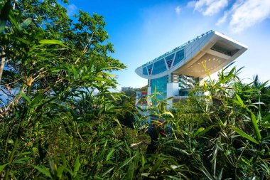 Hong Kong - 5 Kasım 2018: gökyüzü Teras 428 's Peak, Hong Kong güzel kule.