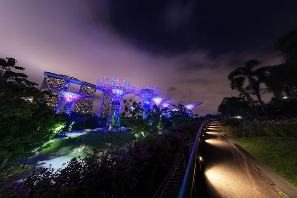 Bosque Supertree Grove Iluminado Por Noche Jardines Cerca Bahía Singapur — Foto de Stock