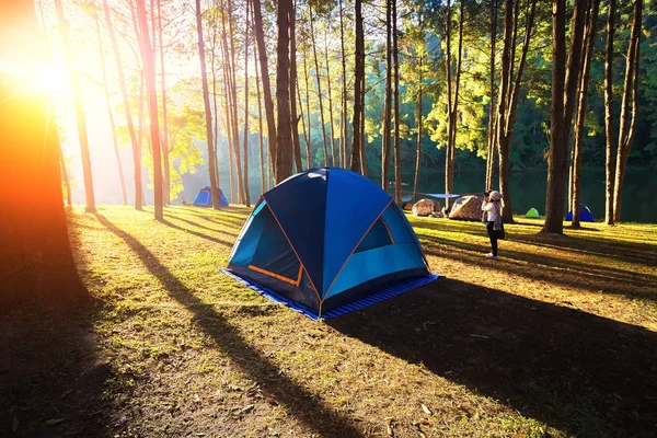 Tourist tent in camp among meadow in the mountain. Concept Trave