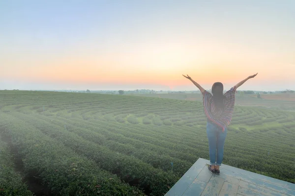 Free happy young woman raising arms at sunset in the field in summer. Lifestyle traveler women happy feeling good relax . Travel Concep