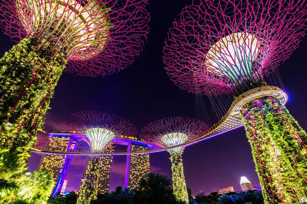 Singapur - 11 Ocak 2018: geceleri ışıklı Supertree Grove orman. Defne, Singapur şehir bahçelerle