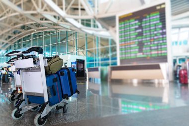 havaalanında bagaj. Tatil veya yaz aylarında seyahat planlama tatil