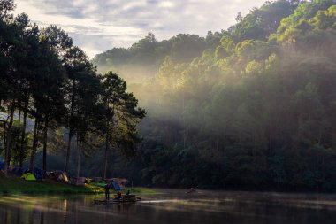 Adventures Kamp ve su kenarında çam ormanı altında çadır