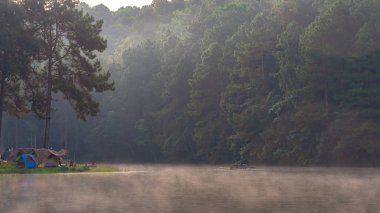 Adventures Kamp ve su kenarında çam ormanı altında çadır