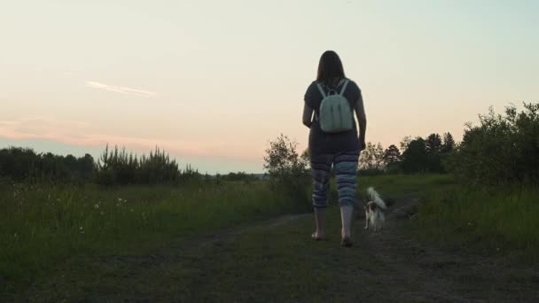 Chica caminar con en Forst — Vídeo de stock