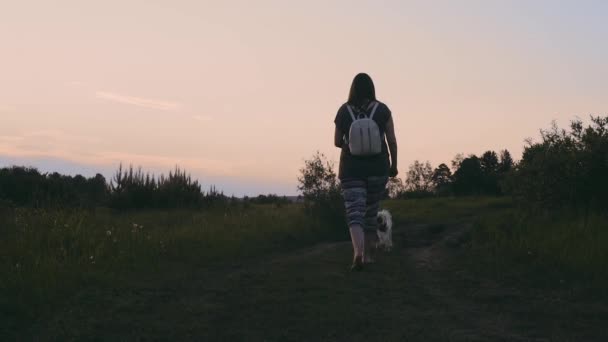 Mädchen geht mit Hund in Forst spazieren — Stockvideo