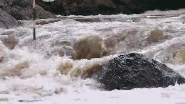 नदी पर महान रोल — स्टॉक वीडियो