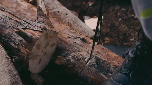 Scie à bois avec scie à main — Video