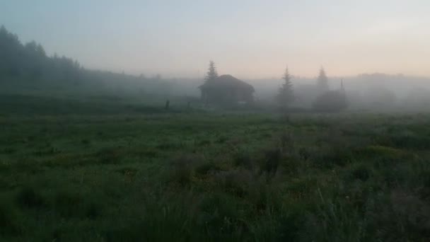 Casa abandonada y árbol en la niebla — Vídeo de stock