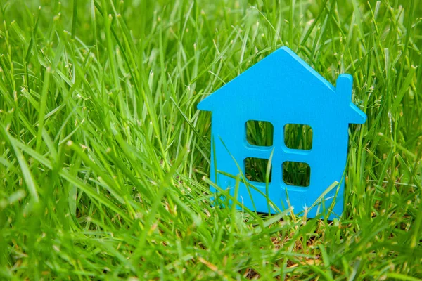 Eco house in nature. Symbol of  house blue on green grass in summer. Copy space for text