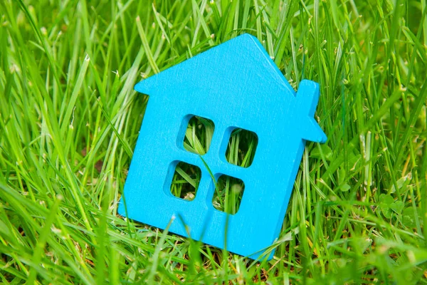 Eco house in nature. Symbol of  house blue on green grass in summer