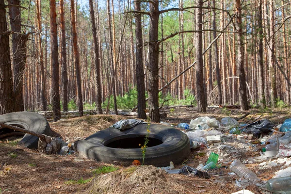 Garbage in the forest. Pollution of the forest by plastic and slopes