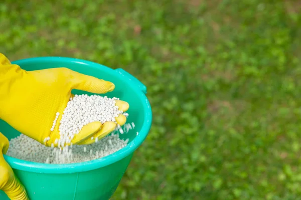 Piante fertilizzanti, prati, alberi e fiori. Giardiniere in guanti tiene palle di fertilizzante bianco su erba — Foto Stock