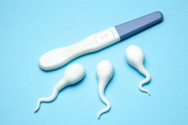İki çizgileri ve sperm mavi arka plan üzerinde pozitif gebelik testi