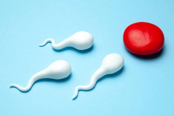 アクティブな精子細胞は、青の背景に卵を泳ぐ。卵の受精の妊娠の概念 — ストック写真