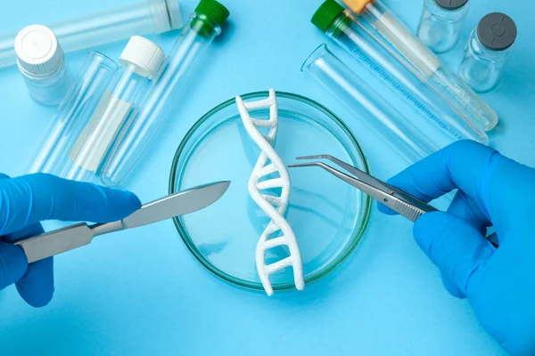 Έρευνα έλικας DNA. Έννοια της γενετικής πειράματα στο ανθρώπινο βιολογικό κώδικα. Ιατρική πράξη νυστέρι και λαβίδα και τους σωλήνες δοκιμής — Φωτογραφία Αρχείου
