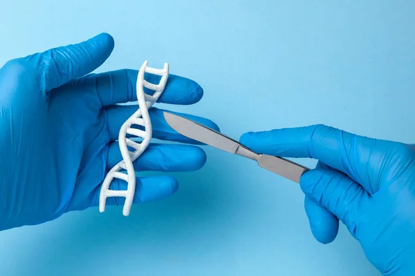 Pesquisa da hélice de ADN. Experiências genéticas em ADN de código. O cientista está segurando hélice de DNA e bisturi . — Fotografia de Stock
