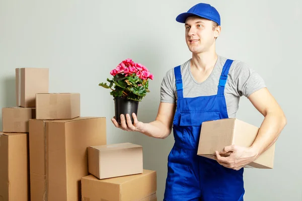 Day moving. Loader or courier carries cardboard boxes with flower in pot against gray wall