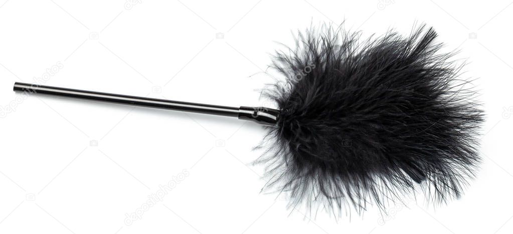 Stick whip with feathers. BDSM sex toys. Isolated on white background.